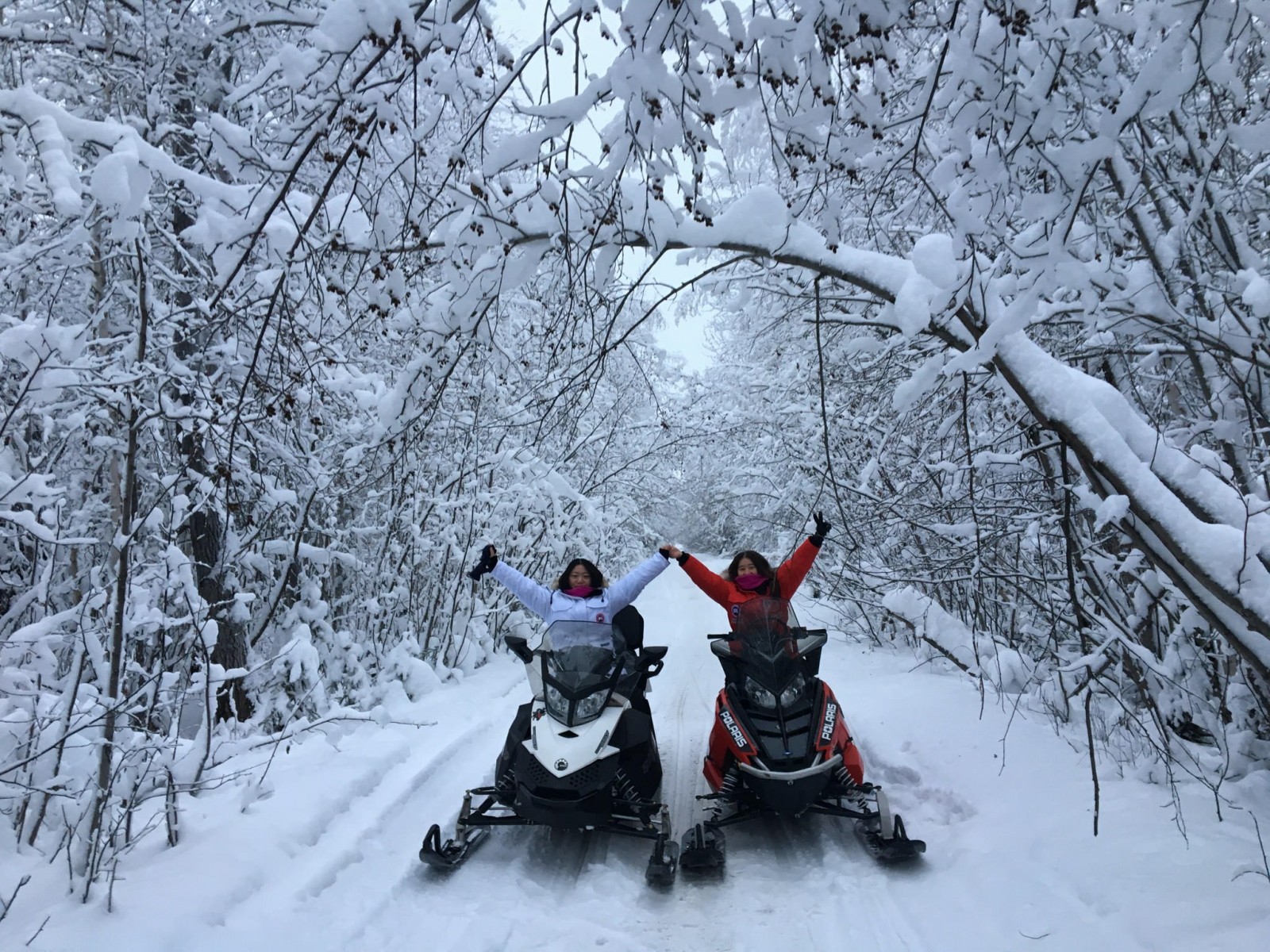 Rod’s Alaskan Guide Service Snowmobile Tours in North…